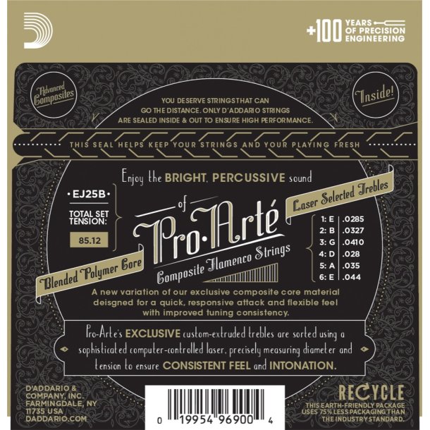 D'Addario EJ25B, Flamenco Black